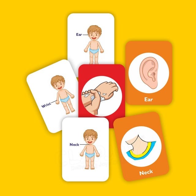 Clapjoy Body Parts Flash Card For Kids Of Age 2 Years And Above