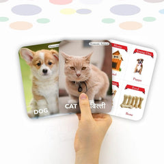 Clapjoy Animals Flash Card For Kids Of Age 2 Years And Above