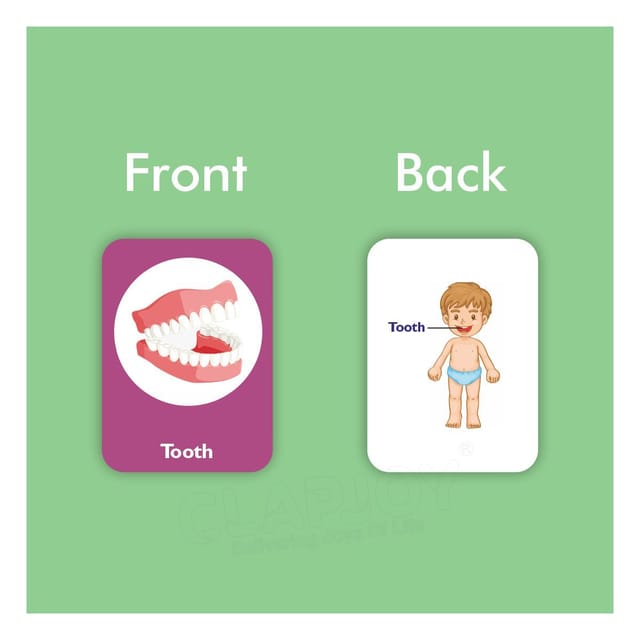 Clapjoy Body Parts Flash Card For Kids Of Age 2 Years And Above