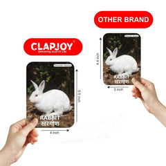 Clapjoy Animals Flash Card For Kids Of Age 2 Years And Above