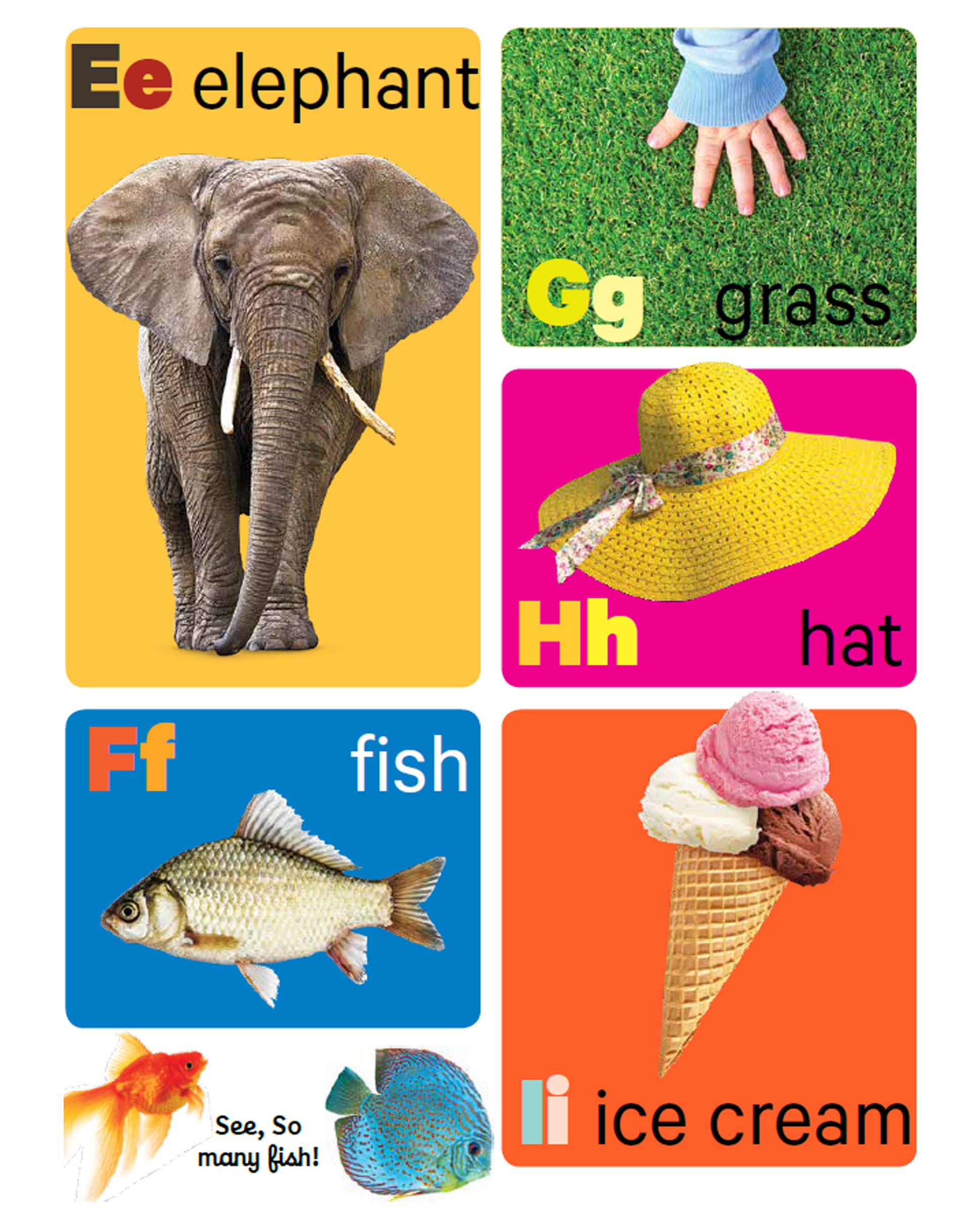 Pegasus Early Learning Alphabet - Board Book