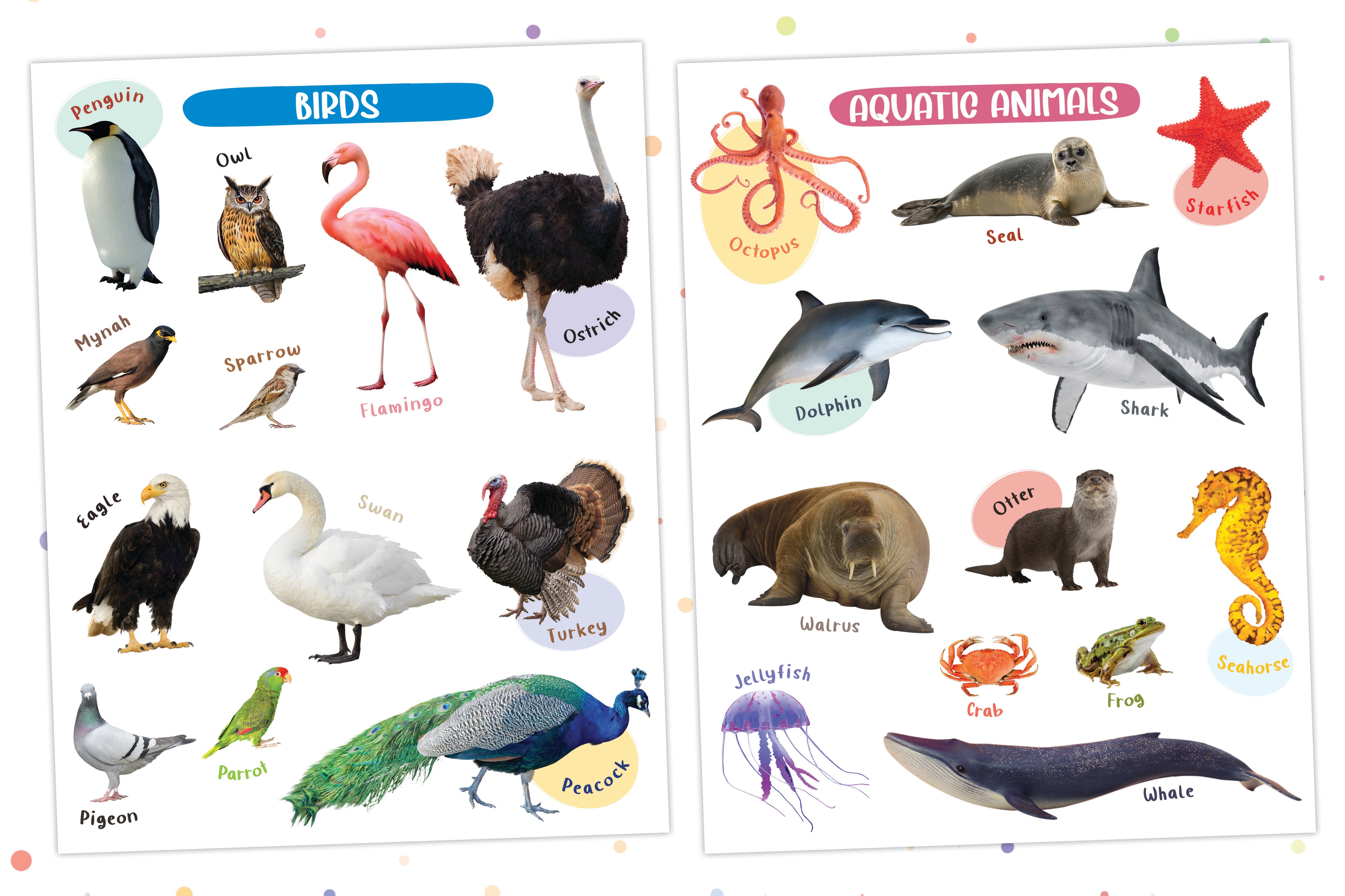 Pegasus Wild World Wonders: Animal Poster Book for 3+ Years Kids - Explore the Animal Kingdom in Vibrant Posters