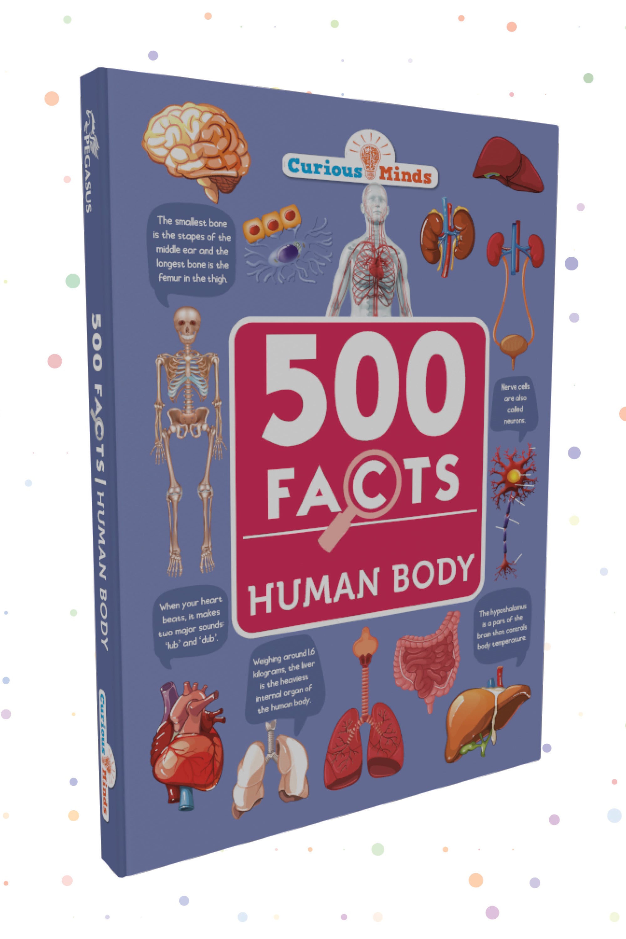 Pegasus Human Body - 500 Facts for Kids