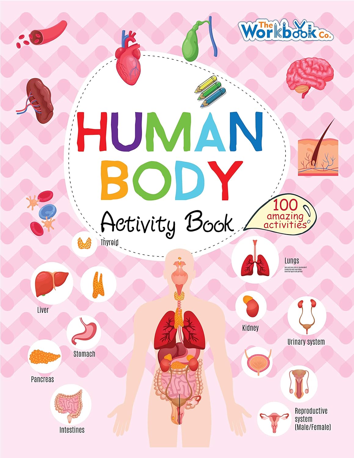 Pegasus Human Body Activity Book