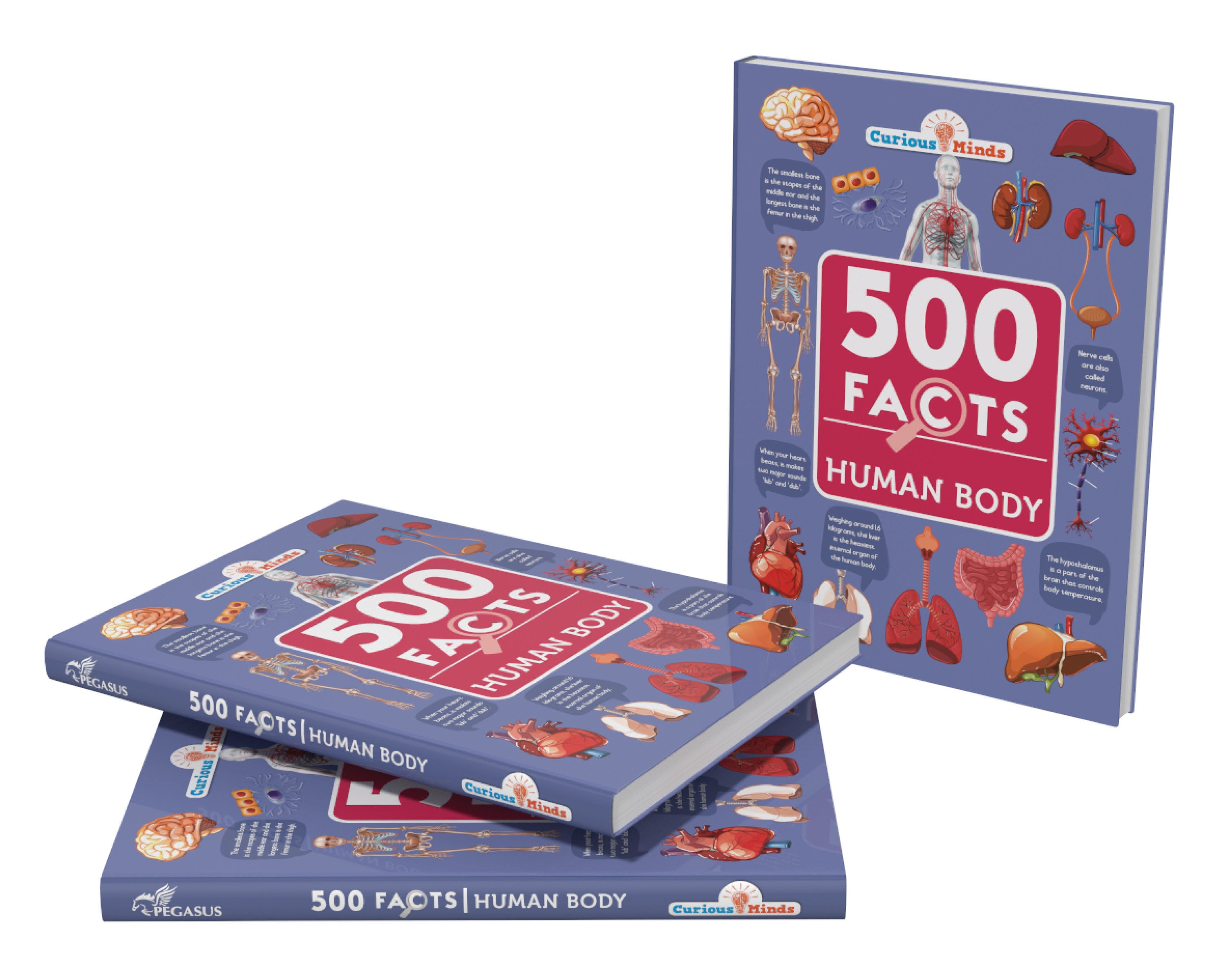 Pegasus Human Body - 500 Facts for Kids