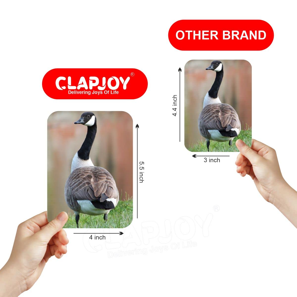 Clapjoy Combo Set To 7 Flash Card For Kids Of Age 2 Years And Above