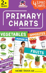 Pegasus Primary Charts - 4 Jumbo Charts for Kids