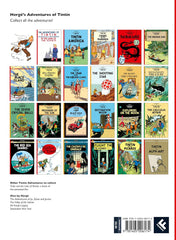 Tintin The Broken Ear Story Book for ages 7+