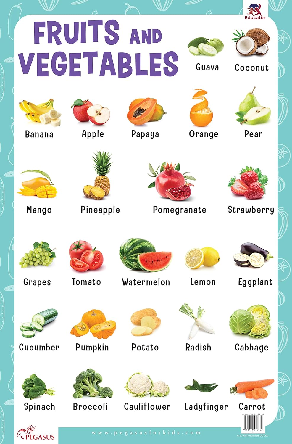 Pegasus Fruits & Vegetables - Thick Laminated Preschool Chart