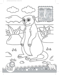 Dreamland Jungle - It's Colour time with Stickers - An Activity Book For Kids Ages 3+