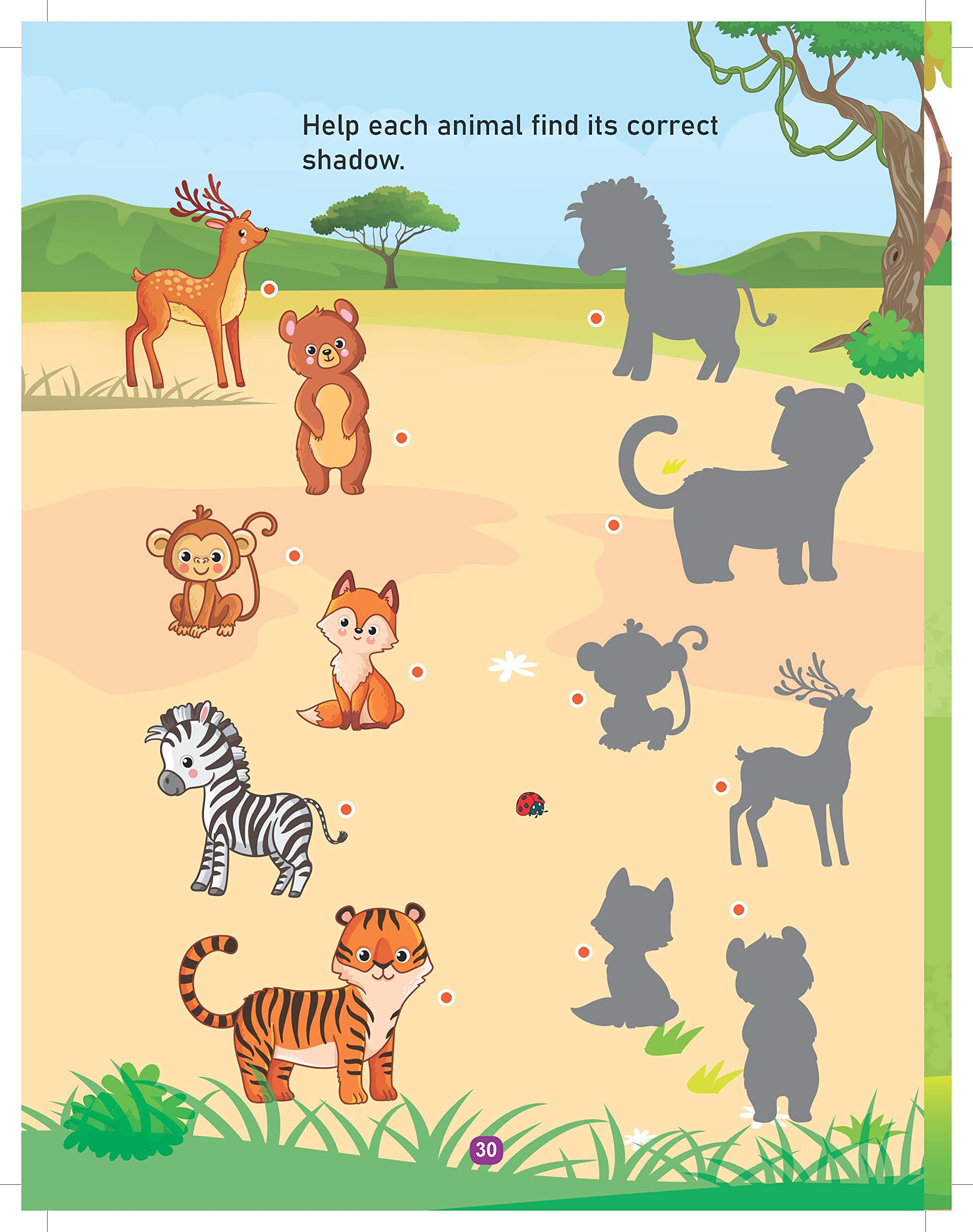 Dreamland Jungle Activity and Colouring - An Activity Book for Kids Ages 2+